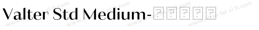 Valter Std Medium字体转换